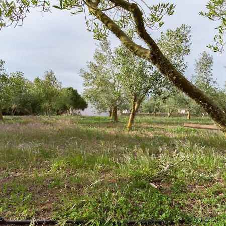 Agroturismo Malbuger Nou Menorca -Adults Only- Mahon  Exterior photo