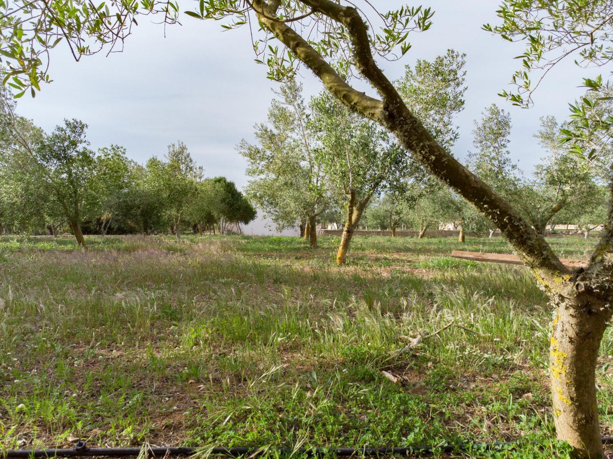 Agroturismo Malbuger Nou Menorca -Adults Only- Mahon  Exterior photo